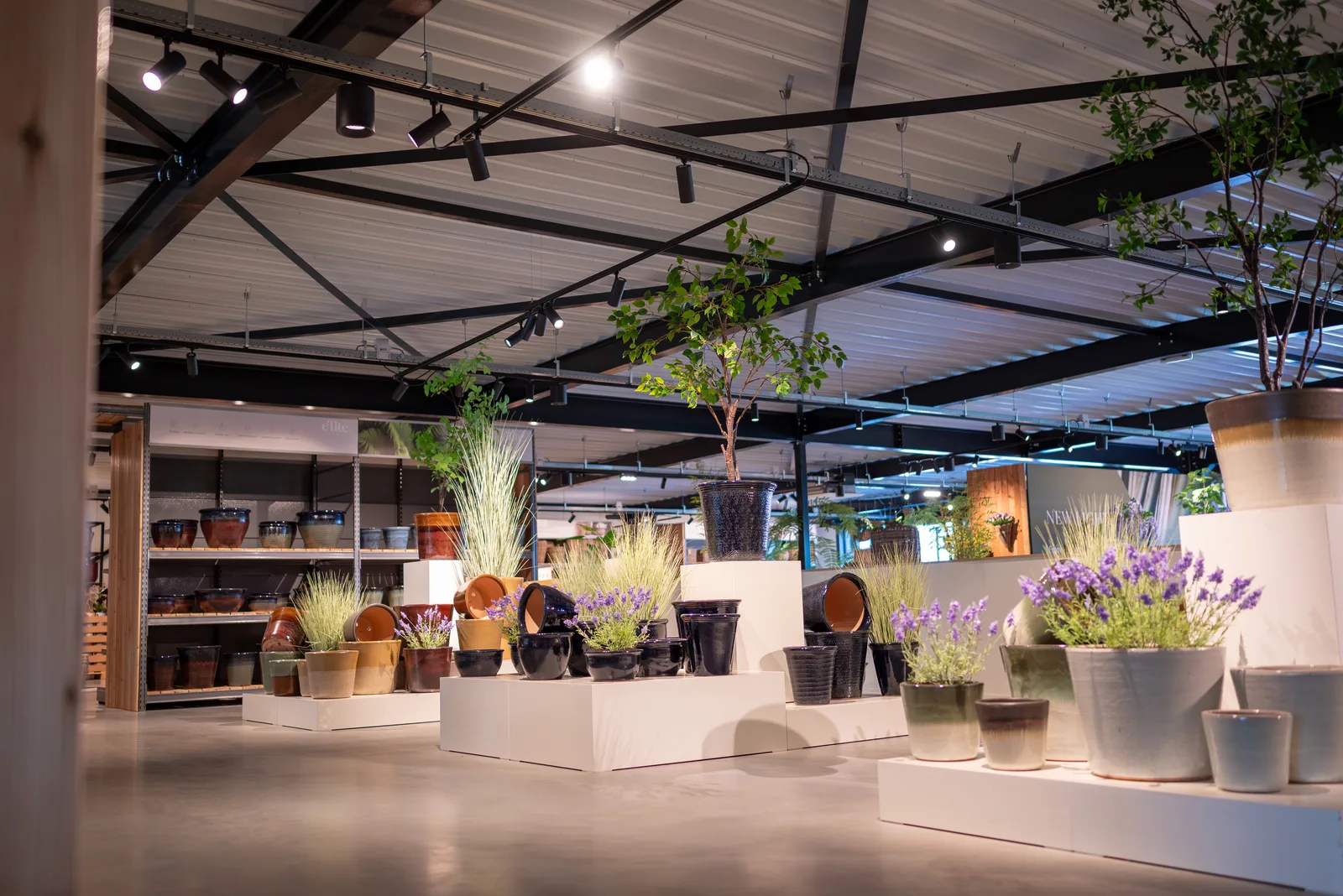 Tel International – foto 4